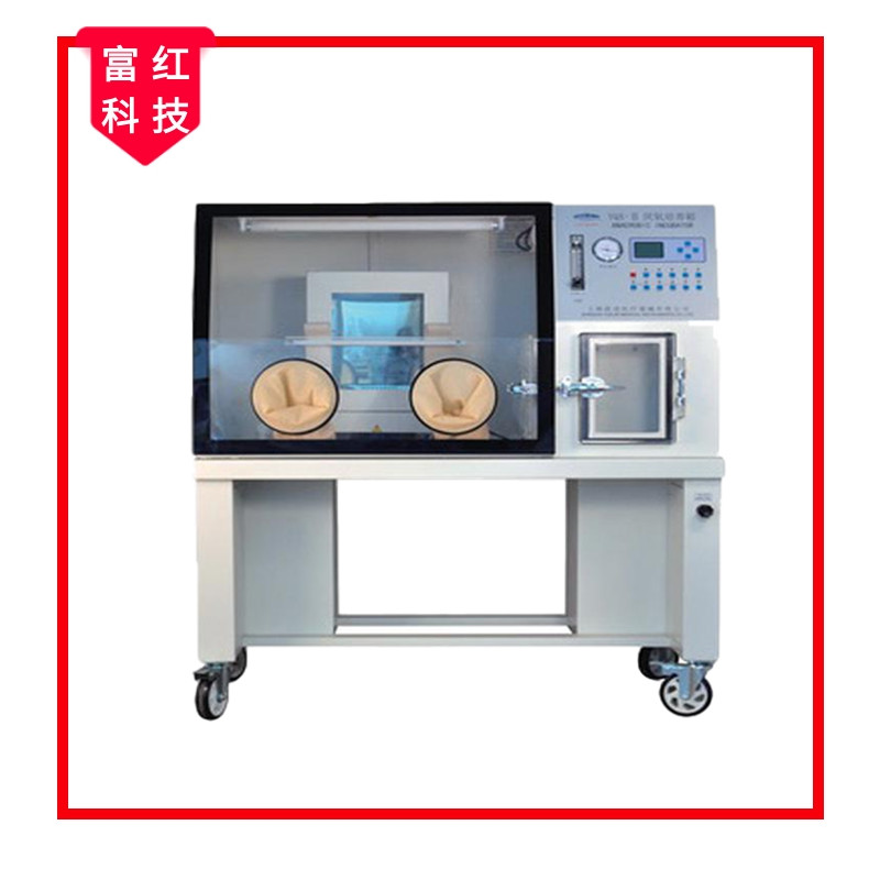 厭氧培養(yǎng)箱厭氧手套箱(自動型) GBT 18268.1-2010